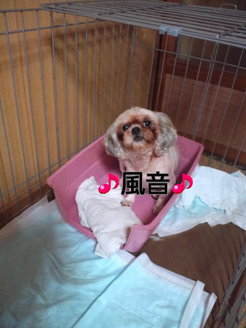 風音.jpg