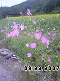 070923_1425~01.jpg