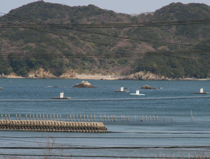 鳥羽湾