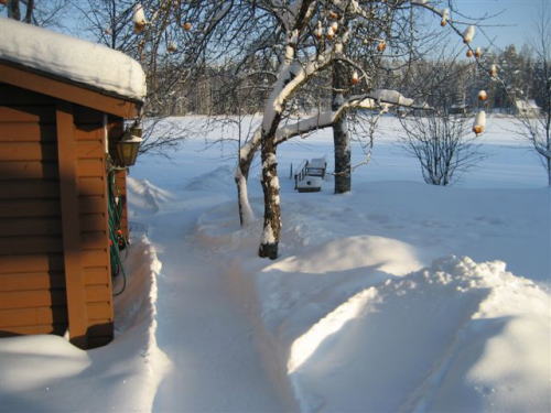 サウナ小屋から