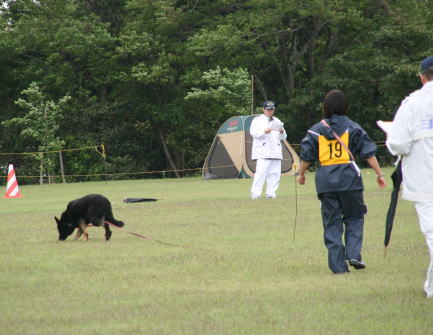 谷口訓練士