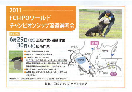 IPO