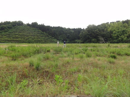 追及会場