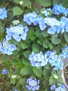 2016070601460000.jpg