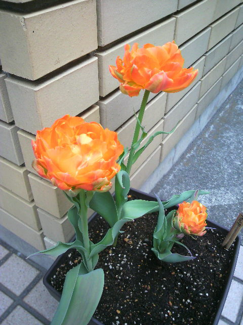 2020050802020000.jpg