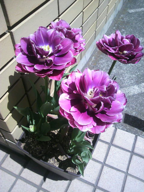 2020050803010000.jpg