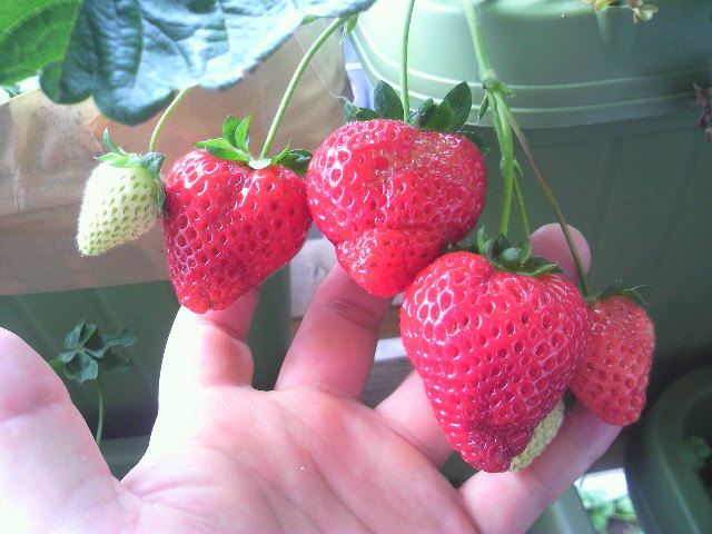 2020072400270000.jpg