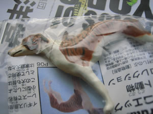 海洋堂:おまけ