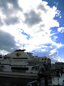 Porto di Napoli - 3