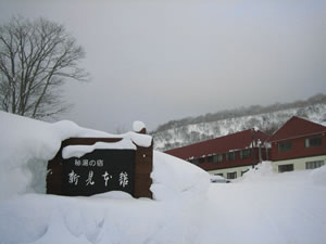 新見本舘2006_2
