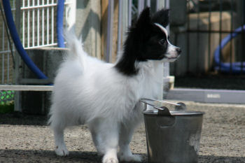201305050007.jpg