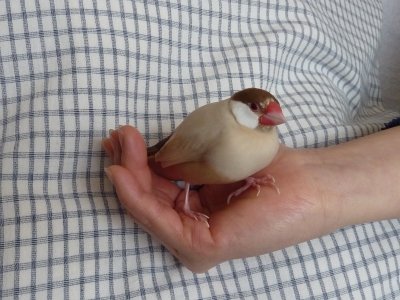 あたし超健康ですってよ♪