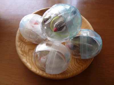 千円握りしめて文鳥ガチャガチャ