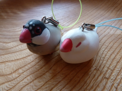 白文鳥と桜文鳥をゲット