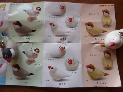 7種類中シナモンは2種・・・なのになぜ!?