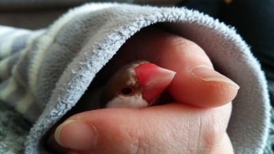 私もブンちゃんも至福のとき