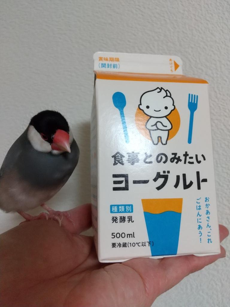 ナオミくんにもらった