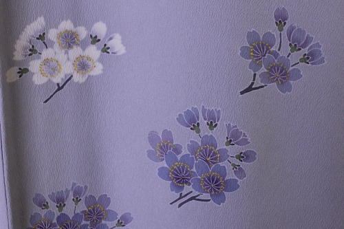 弥生の桜