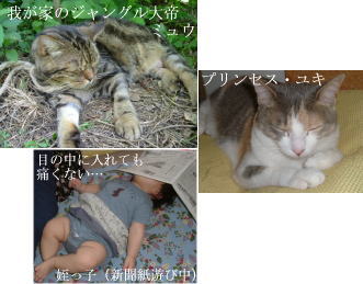 愛するものたちの画像を一気載せ どーん