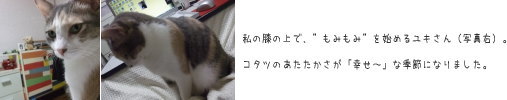 もみもみ…もみもみ(延々とつづく)。