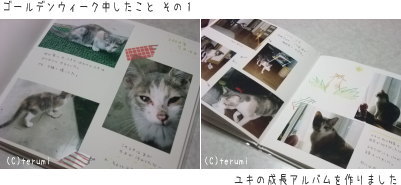 ユキたん成長アルバム