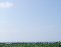 上越の海