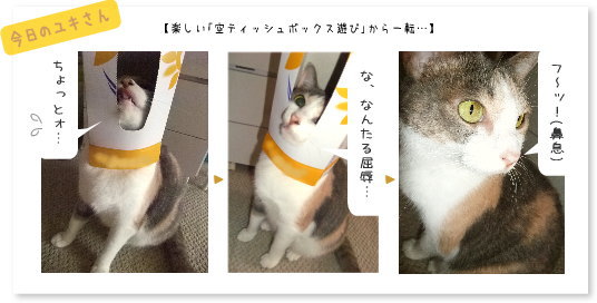 楽しいはずが…