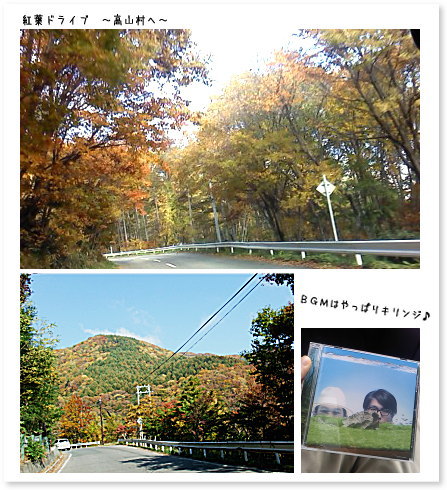 紅葉ドライブ