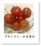トマト
