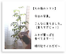 現行犯タイホだ!