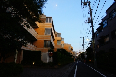 DSC05795.JPG
