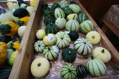 DSC06288.JPG