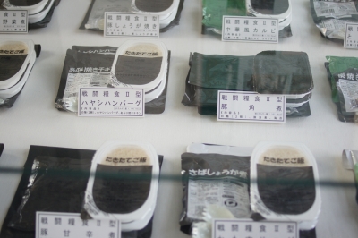 DSC06910.JPG