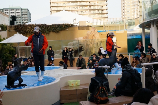DSC00788.JPG