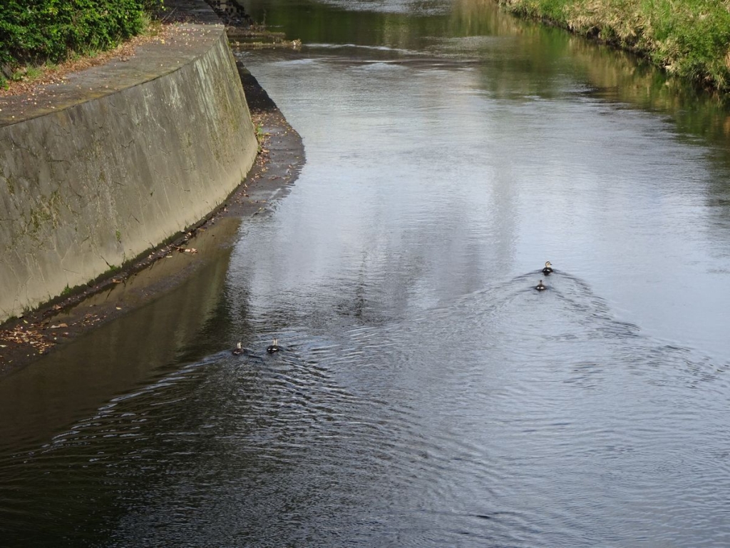 二度と歩めぬかけがえのないこの道 松下幸之助語録より かたりつづけていきます