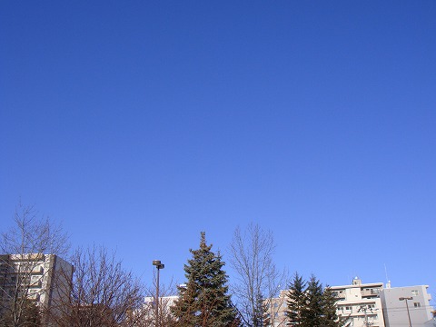 雲がない快晴