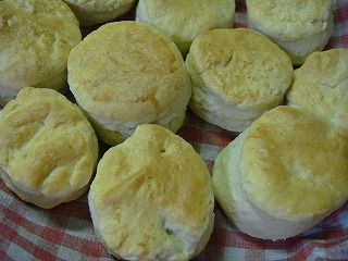 20100815 013.jpg