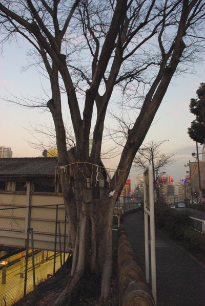 太田姫神社旧社地1