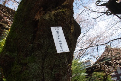 靖国神社20070327-6