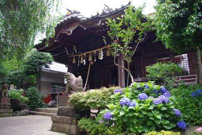 白山神社20100620-2