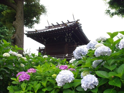 白山神社20100620-5