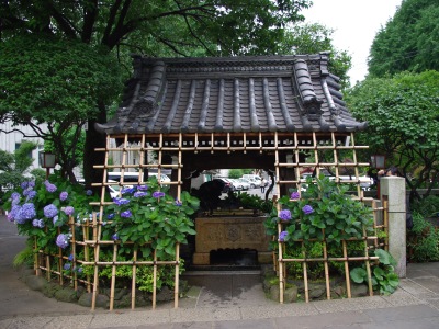 白山神社20100620-4