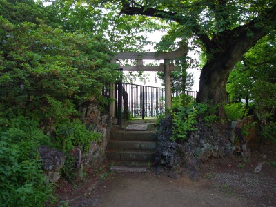 成子天神20100605-5