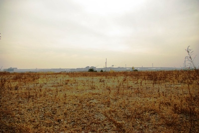 モノレール廃軌道20110205-8
