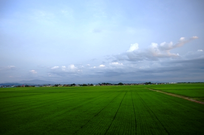 公楽園裏