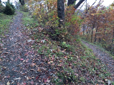 角館城跡山道