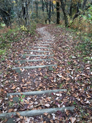 角館城跡山道2