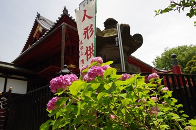 2016_0604_121113-IMGP9349nnn.jpg