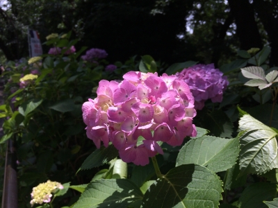 IMG_8754.JPG