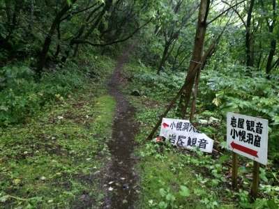 IMG_8924.JPG